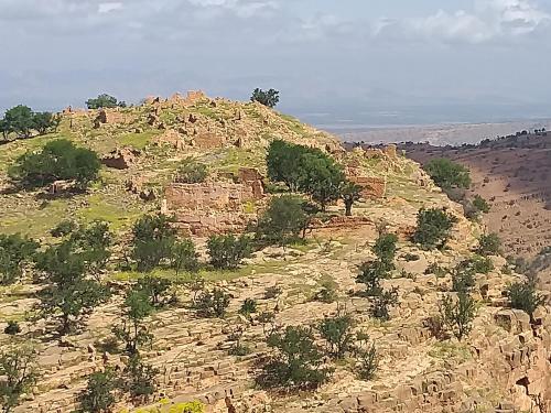 a large hill with trees on top of it at Oasis de Tiout in Tiout