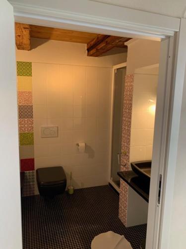 a bathroom with a toilet and a sink at CASA DELLA NONNA in Croveo