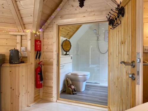 uma casa de banho com um chuveiro e um WC num quarto em Woodland Lodge Oxen Craig em Kintore