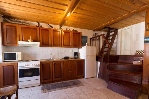 Gallery image of The Old House - Wood & Stone in Evretí