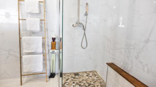a bathroom with a shower with a glass door at Residence Bleu Marine - Sea View Apartments & Studios - Saint-Martin French Side in Grand Case