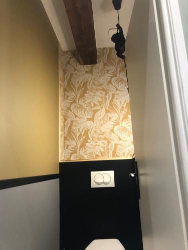 La salle de bains est pourvue de toilettes et d'un mur. dans l'établissement Superbe appartement cosy au coeur du beaujolais, à Odenas