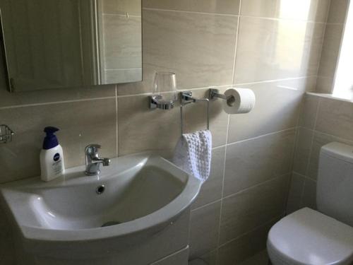 y baño con lavabo y aseo. en Adare Luxury Riverside Apartment en Limerick