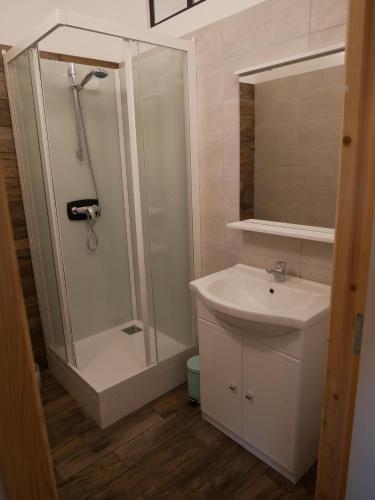 une salle de bain avec douche et lavabo dans l'établissement Studio de charme pour des vacances réussies, à Corneilla-del-Vercol