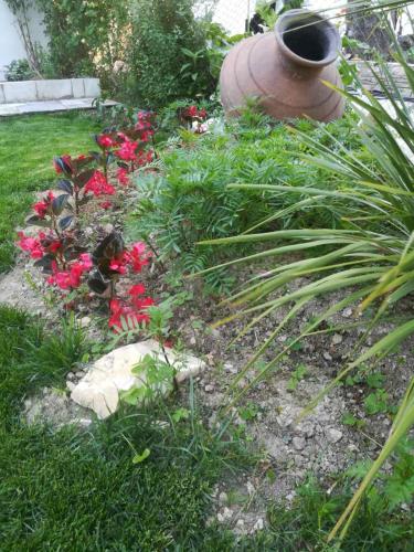 a garden with red flowers in the grass at Almira Kalamos in Kálamos