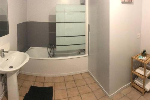 ein Badezimmer mit einer Badewanne und einem Waschbecken in der Unterkunft La rose des vents in Saint-Brisson-sur-Loire