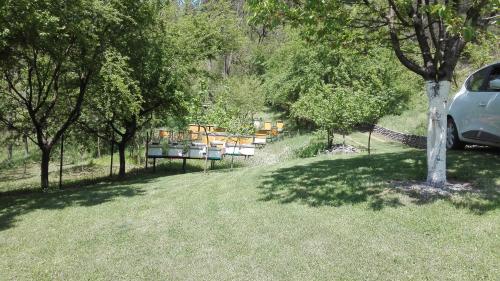 Jardín al aire libre en Vikend kuca Maksimovic
