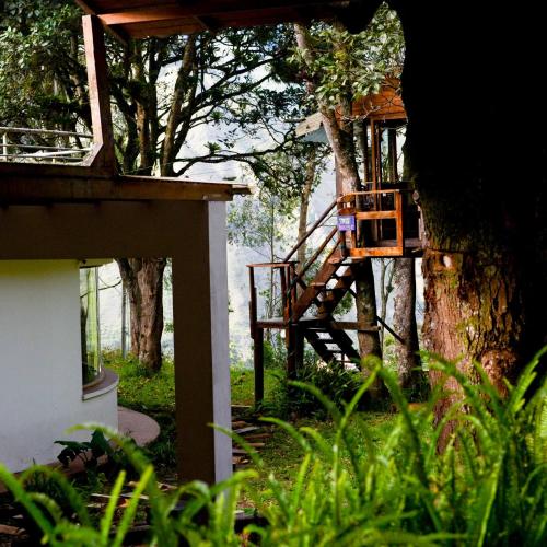 a tree house with a staircase in a tree at Mama Tungu hostel in Baños