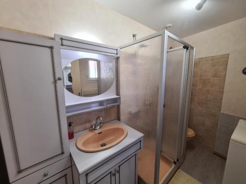 a bathroom with a sink and a shower at Gîte Baraize, 3 pièces, 4 personnes - FR-1-591-319 in Baraize