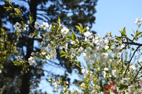 Fotografie z fotogalerie ubytování HTL La Malinka v destinaci San Carlos de Bariloche
