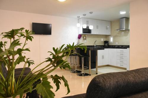 a kitchen and living room with a couch and a table at Departamento Alejandro - Completo y Amplio Departamento en una zona muy tranquila de la CDMX in Mexico City