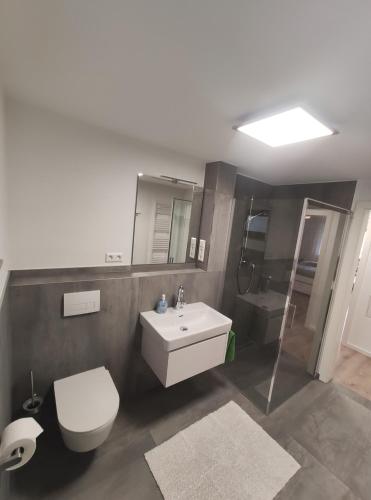 Ένα μπάνιο στο Ferienwohnung Gänsweide Neueröffnung