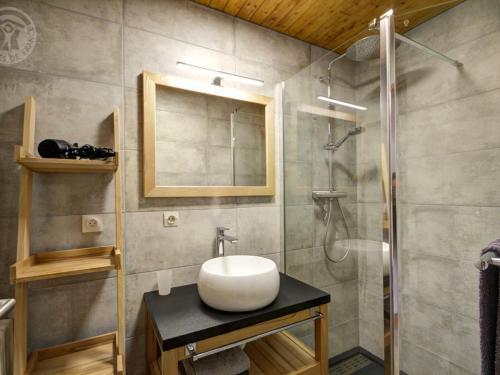 ein Bad mit einem Waschbecken und einer Dusche in der Unterkunft Gîte Apinac, 3 pièces, 4 personnes - FR-1-496-122 in Apinac