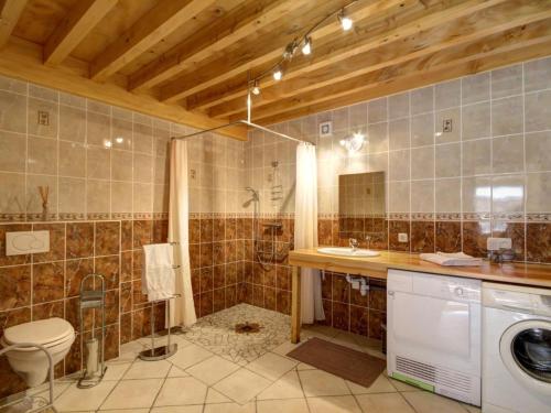 uma casa de banho com um chuveiro, um WC e um lavatório. em Gîte Saint-Just-en-Bas, 4 pièces, 6 personnes - FR-1-496-19 em Saint-Just-en-Bas