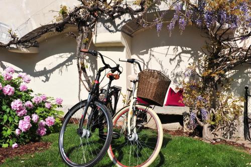 a bike parked next to a house with flowers at Renaissancehotel Raffelsberger Hof B&B in Weissenkirchen in der Wachau