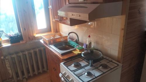 Η κουζίνα ή μικρή κουζίνα στο Біля лісу (Апартаменти для сім'ї)