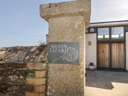 Moon Lizard – Photos 2