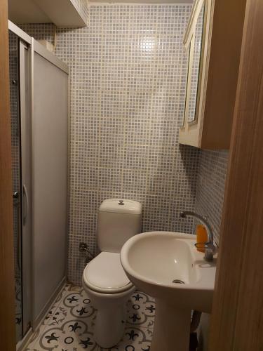 a small bathroom with a toilet and a sink at Celil Pansiyon in Ayvalık