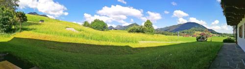 a green grassy hill with mountains in the background at Ferienwohnung Beim Raffner in Ruhpolding