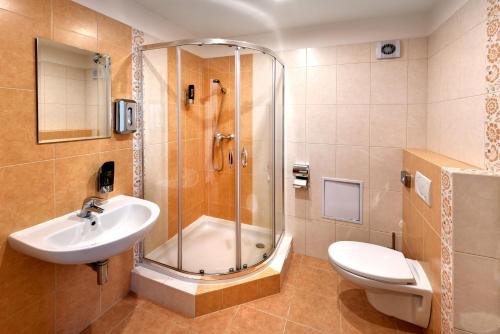 a bathroom with a shower and a sink and a toilet at APLEND Vila Magnolia in Tatranská Lomnica