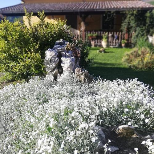 Un jardín fuera de B&B Le Ginestre