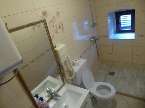 a bathroom with a toilet and a shower and a sink at Apartments Đukić in Kotor
