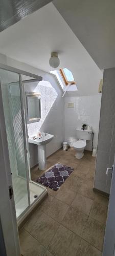 een badkamer met een douche, een toilet en een wastafel bij Yeats Village in Sligo