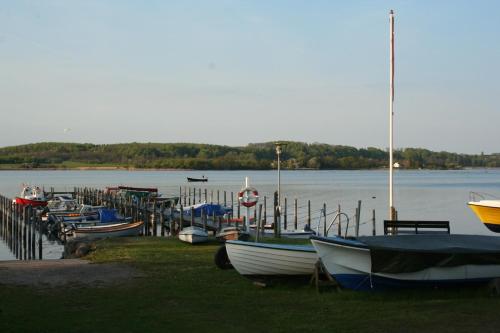 a bunch of boats are docked at a dock at BnB Thuroe in Svendborg