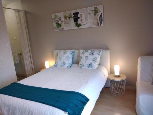 sypialnia z łóżkiem z niebiesko-białymi poduszkami w obiekcie Chez Bernard et Nicole w mieście Betton