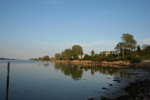 a large body of water with trees and houses at BnB Thuroe in Svendborg