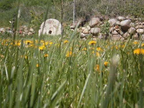 a field of flowers in front of a rock wall at Molino De Pradillo in Pradillo