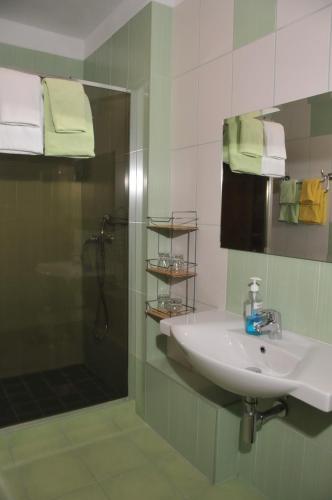 a bathroom with a sink and a shower at Penzion Sidorovo in Ružomberok