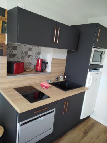 - une petite cuisine avec des placards noirs et un évier dans l'établissement Malicorn' Appart-Hôtel, à Malicorne-sur-Sarthe