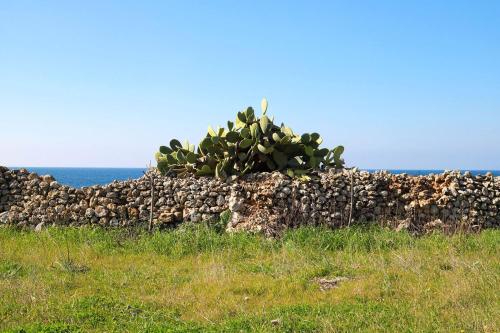 Paisaje cerca de este hotel