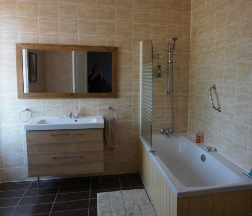 uma casa de banho com uma banheira, um lavatório e um espelho. em Le Tulipier de la Serre em Saint-Yrieix-la-Perche
