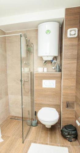 a bathroom with a toilet and a glass shower at Milmari S70 Kopaonik in Kopaonik