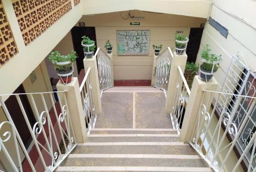 a flight of stairs with potted plants at Hotel D´ Carmona in Ciudad Valles