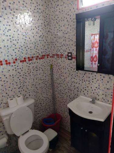 a bathroom with a toilet and a sink at MALARGUE STYLE,A 100 Mtrs DEL CENTRO,MUY UBICADO in Malargüe