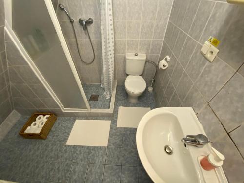 a bathroom with a sink and a toilet and a shower at The Legits Apartments in Donovaly