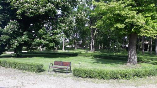 Un jardín fuera de Dwór Strzyżew