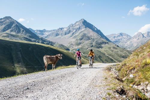 2 personnes à vélo sur un chemin de terre avec une vache dans l'établissement All-Suite Resort Kühtai, à Kühtai