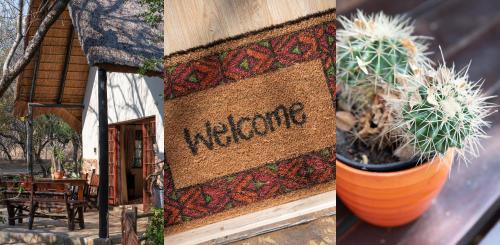 two pictures of a potted plant next to a restaurant at Blyde River Canyon Lodge in Hoedspruit