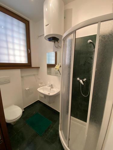 a bathroom with a shower and a toilet and a sink at Appartamento Corte nel Grano in Rovereto