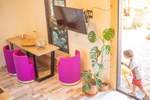 TV a/nebo společenská místnost v ubytování Chalet Kvariati
