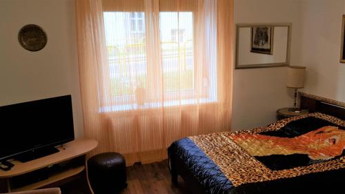 Postel nebo postele na pokoji v ubytování Mieszkanie przy Chrzanowskiego