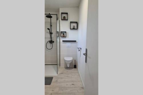 a bathroom with a shower and a toilet in it at Maison en bois presqu’île de rhuys Morbihan in Le Tour-du-Parc