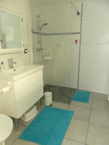La salle de bains est pourvue d'un lavabo, de toilettes et d'une douche. dans l'établissement La maison du pêcheur, à Saint-Quay-Portrieux
