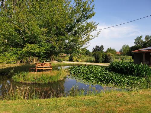 a bench sitting in the middle of a pond at Chambres et Table d'hôtes "La Pastorale Gourmande" FR - NE - EN - DE - IT in Marcollin