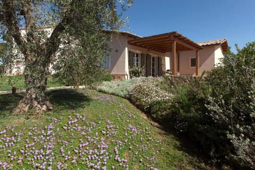 a house with a tree and flowers in front of it at Agriturismo Colle Oliveto in Orbetello