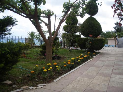 Gallery image of Katerina Lefkada in Vasiliki